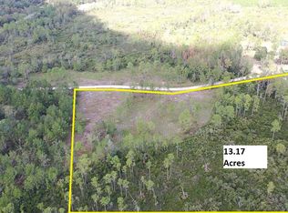 LOT 3 Albert Hendry Rd, Greenville, FL 32331