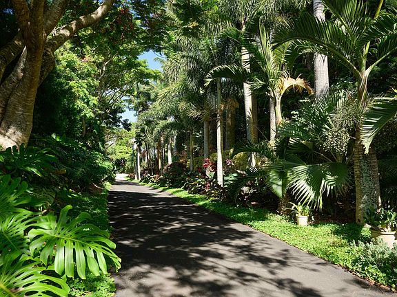 5th image of 1642 W Kuiaha Rd