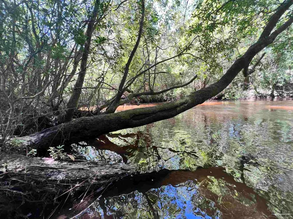 Hamilton Bridge Rd, Milton, FL 32570