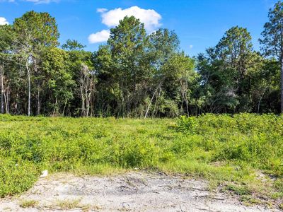 0 Walker Ave SE, New Ellenton, SC, 29809