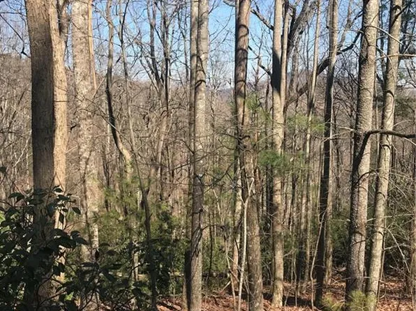 N State Highway 16, Millers Creek, NC 28651