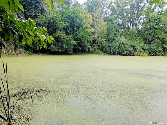 4th image of 4050 E Hunters Creek Rd