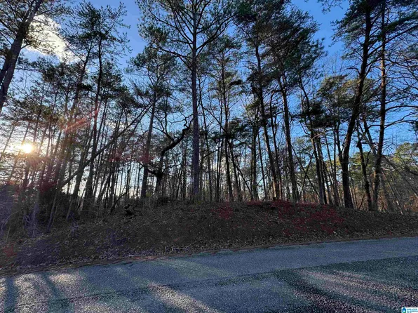 0 Teddy Dr #2, Mc Calla, AL 35111