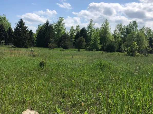 0 E Ridgecliff Trl, Cedar, MI 49621