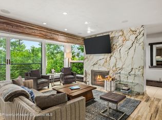 738 S Galena St #1C, Aspen, CO 81611