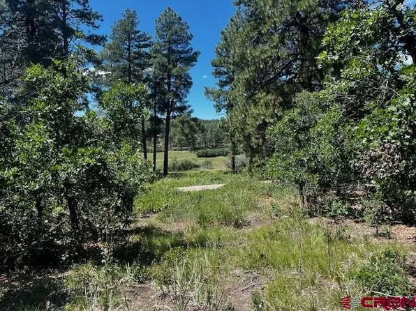 774 Circle Drive, Bayfield, CO 81122