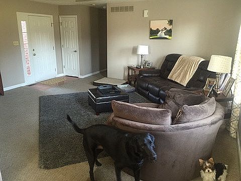 Dogs not for sale :)