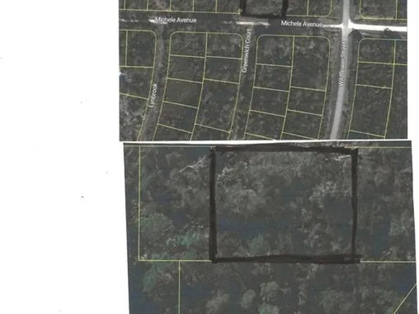 3205 MICHELE AVENUE LOT 30, LAKE PLACID, FL 33852