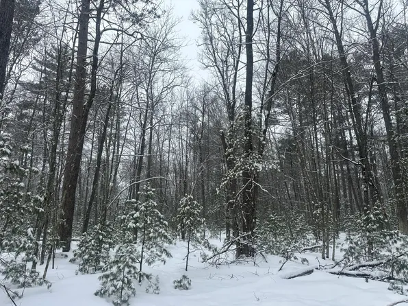 Wakefield Lake Rd E Lot 24, Saint Germain, WI 54558