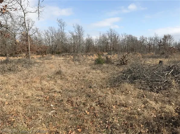 96085 S 4523rd Rd, Vian, OK 74962