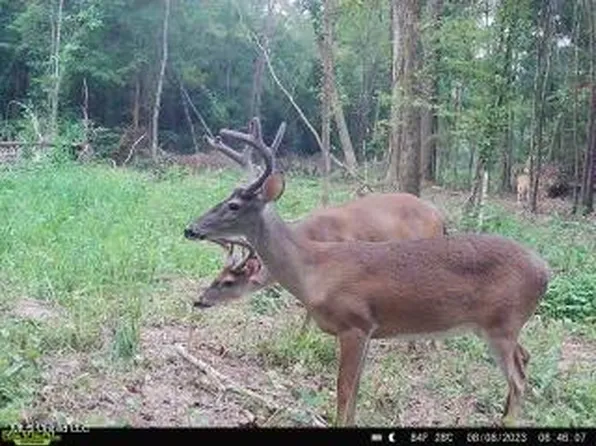 0 Highway 27, Monticello, MS 39654