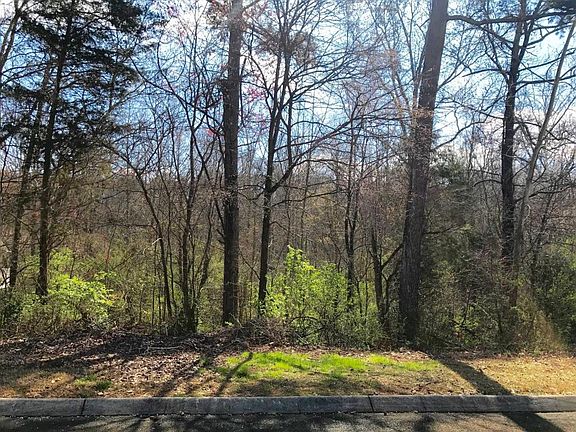 4th image of Split Oak Dr