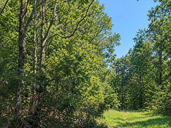 4th image of LOT 21 Cooper Point Dr