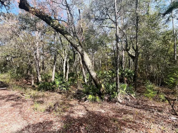 00 NE 967TH STREET LOT 5, BRANFORD, FL 32008