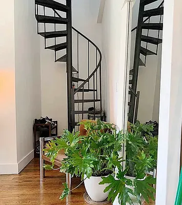 Rented by Stuyvesant Heights Realty Corp | media 15