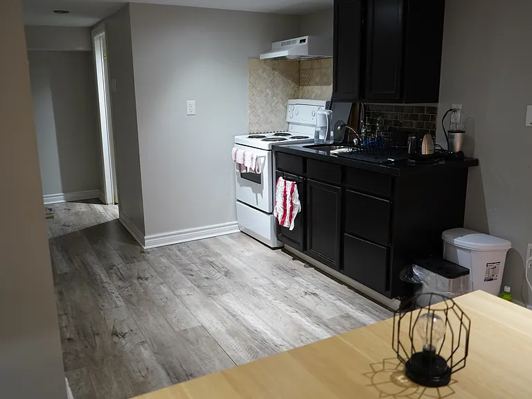 163 Campbell Ave #BASEMENT — Photo 4