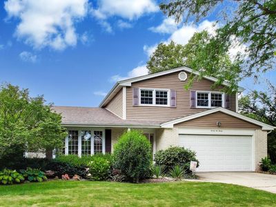 2620 N Phelps Ave, Arlington Heights, IL, 60004