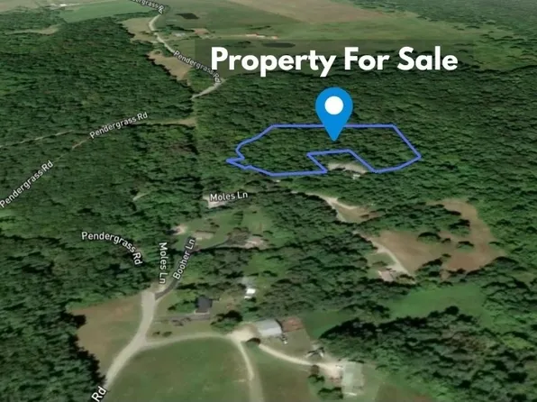 1 Moles Ln, Byrdstown, TN 38549