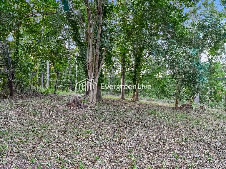 1501 Romain Dr — Photo 13