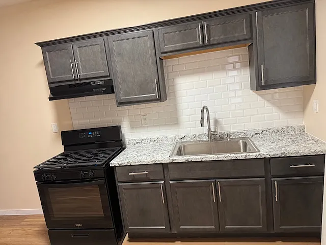 1 bed, 550 sqft, $950 — Photo 3