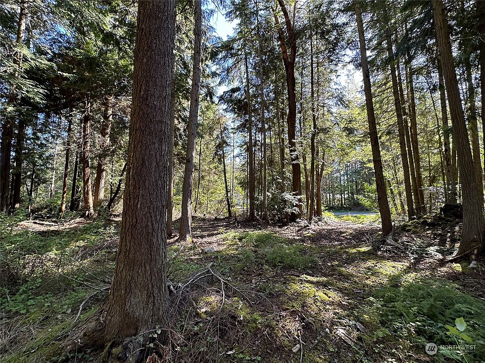 2nd image of 999 Manzanita Drive