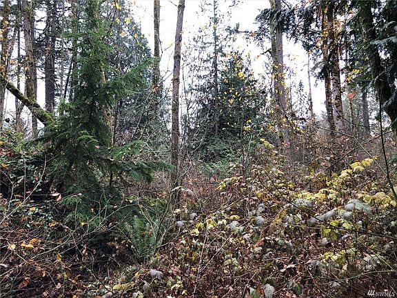 5th image of 21 66th Ave E