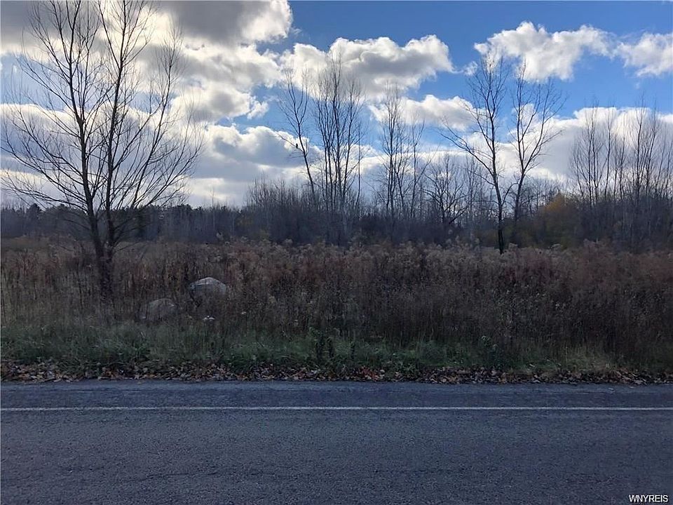 2nd image of Webster Rd