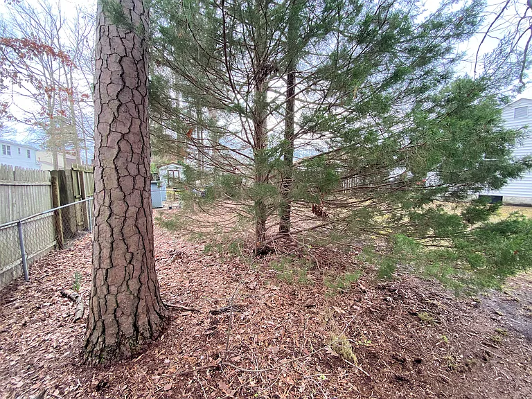 218 Mona Dr — Photo 45