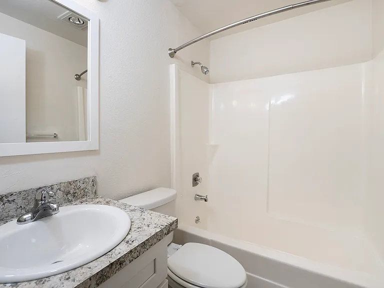 1 Bed 1 Bath Standard - 513 Sq Ft 1 Bed 1 Bath Standard - 513 Sq Ft
