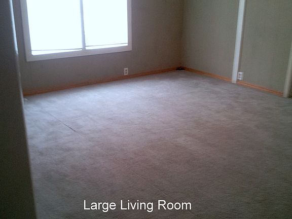 Large Living Room