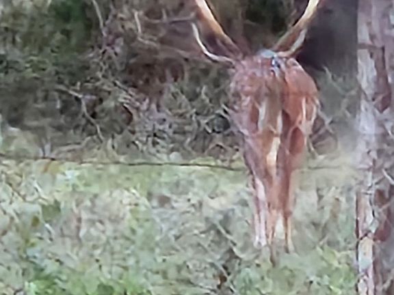4th image of 9286 County Road 2335
