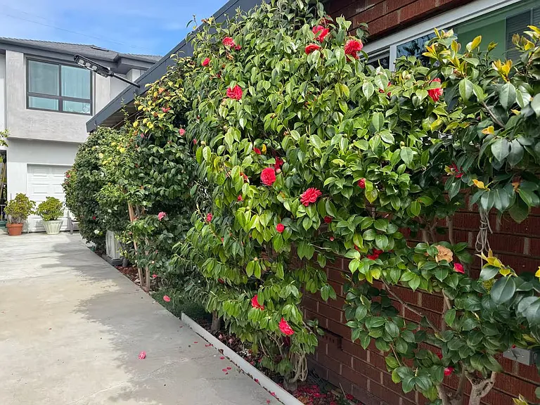 1646 S Centinela Ave — Photo 7