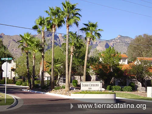 6460 N Tierra De Las Catalinas #116 — Photo 3