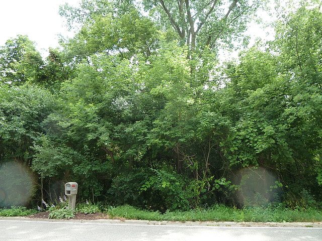1st image of 27253 W Lakeview Dr S