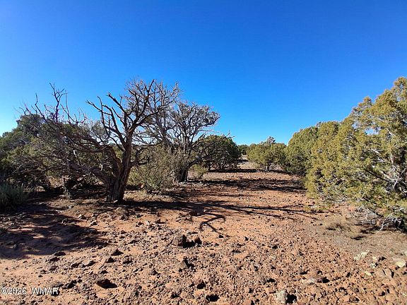 4th image of 202 County Rd