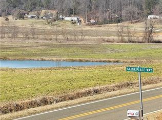 113 Gator Place Way, Lowgap, NC 27024