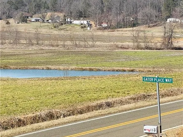 113 Gator Place Way, Lowgap, NC 27024