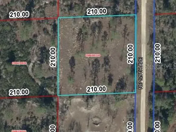 0 NE 129th Ave, Williston, FL 32696