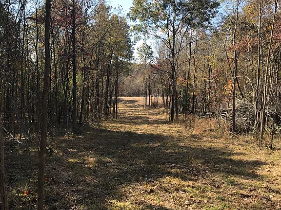 Driveway through the woods 