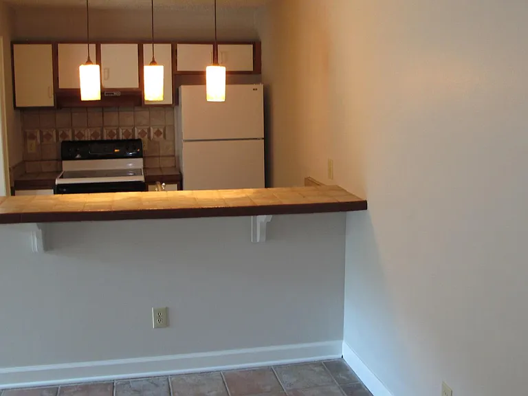 9501 University Terrace Dr #3 — Photo 3