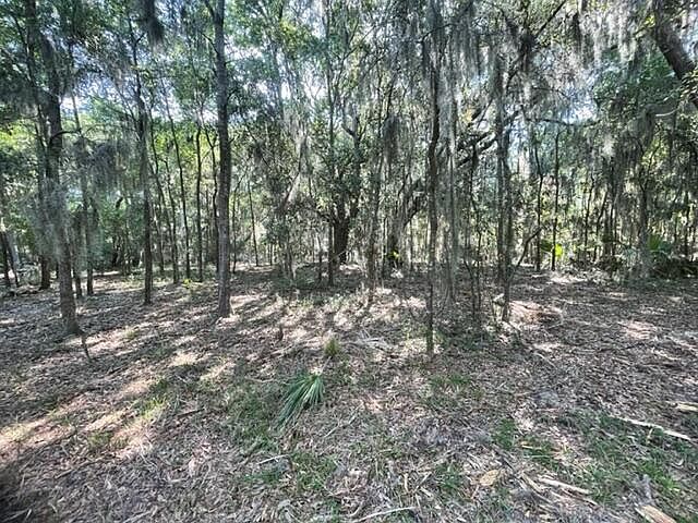 2nd image of 2155 Meggett Point Rd