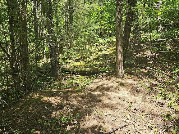 4th image of 810 Price McCarter Way Lot 8&10