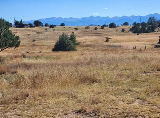 3176 M Path, Cotopaxi, CO 81223
