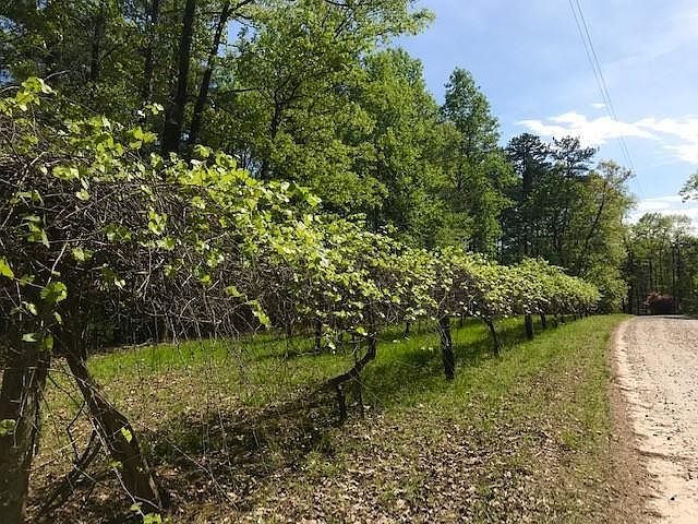1st image of 531 Deer Woods Trl