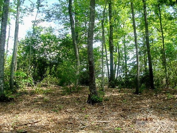 2nd image of Tbd New River