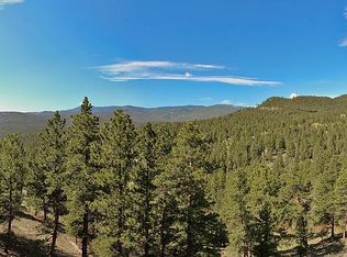 1010 Stagecoach Blvd, Evergreen, CO 80439