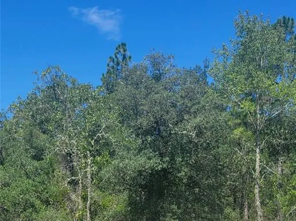 0 SW Big Bear Rdg #25, Dunnellon, FL 34431