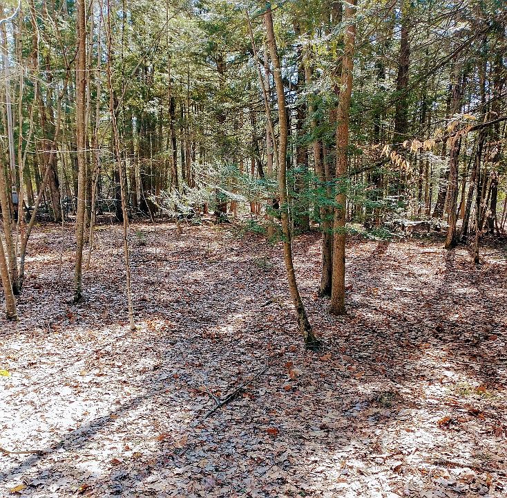 2nd image of 334 Charles Kelley Rd