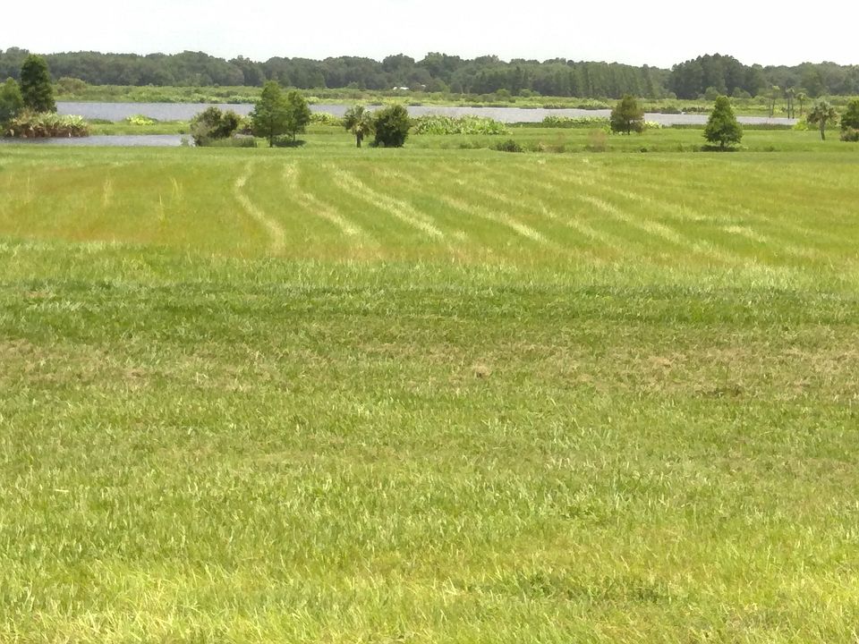 1st image of 10702 Osprey Landing Way