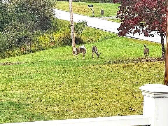 4th image of 576 Brownsburg Rd